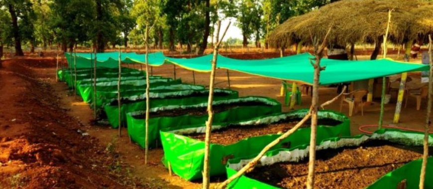 Ikiguzi cy’ifumbire y’imborera no kuyibura  byatumye batangira kuyikorera.