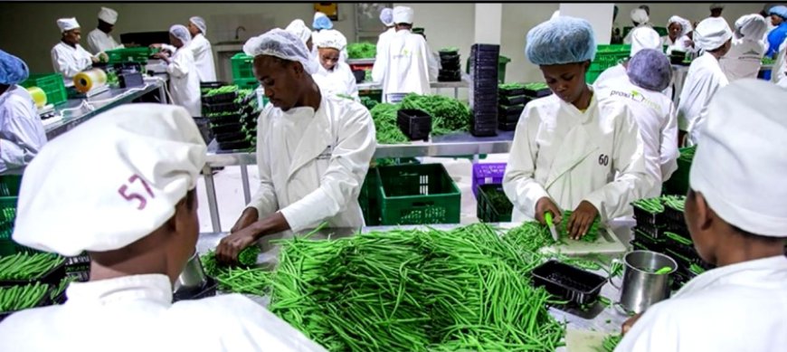 Abacuruzi bato bohereza ibicuruzwa mu mahanga baracyahura n’inzitizi nyinshi.