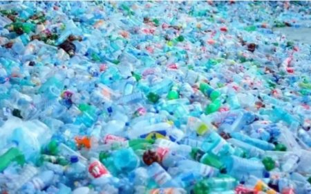 Plastic battles and bags recycling investors still face obstacles.