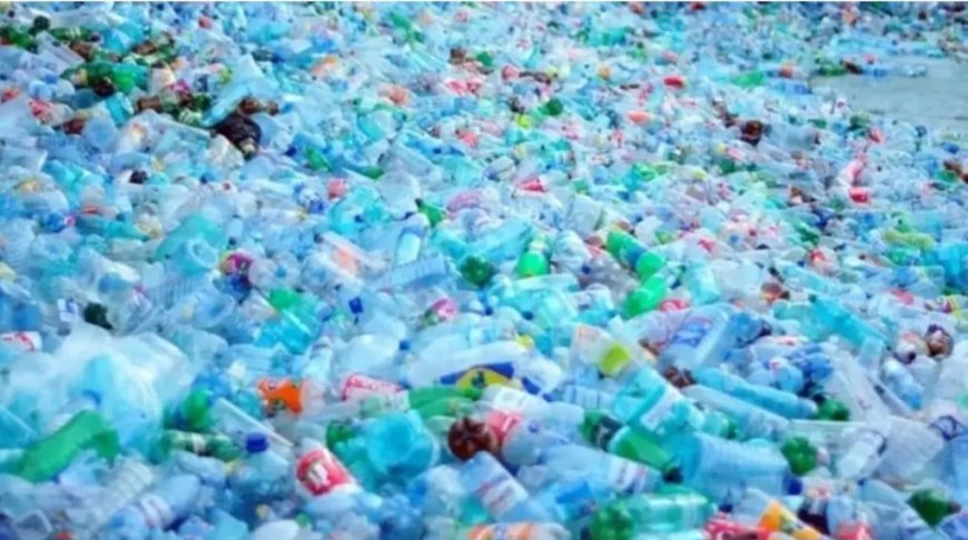 Plastic battles and bags recycling investors still face obstacles.