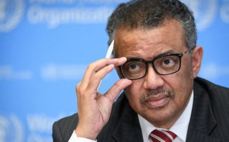 Israel-Hamas war: Gaza's Al Shifa hospital no longer functions as a hospital -  Tedros