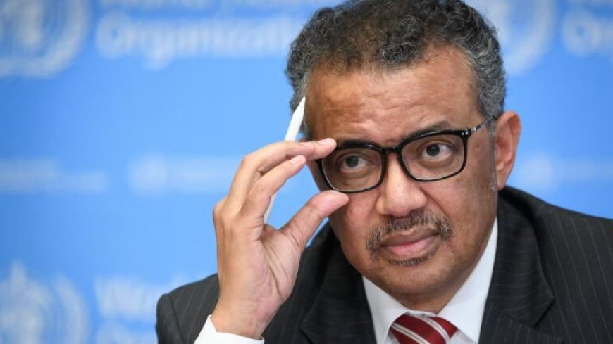 Israel-Hamas war: Gaza's Al Shifa hospital no longer functions as a hospital -  Tedros