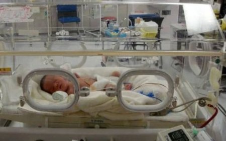 Medical technology: Health and well-being of the premature infant