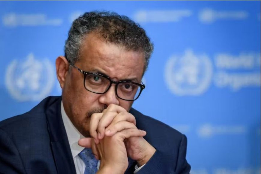 OMS yatabarije Gaza kubera kugarizwa n’indwara nyinshi zirimo Hepatite