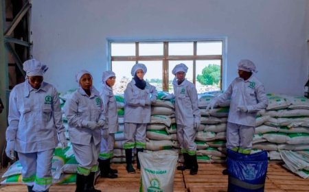 Tanzania: igiciro cy’isukari gihanganyishije Leta n’abacuruzi