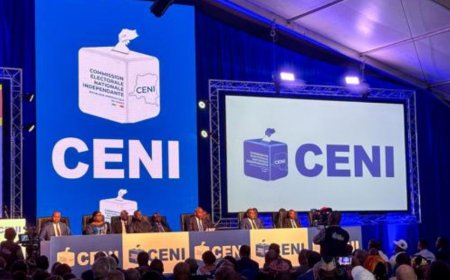 DRC: The unsuccessful candidate called for the Constitutional Court to authorize the CENI to recount votes to correct material errors