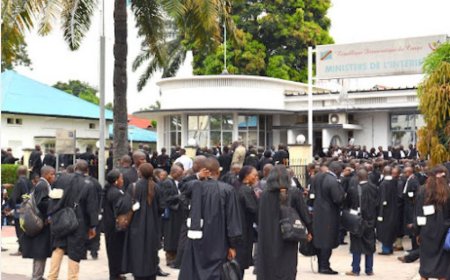 At least 280 lawyers brought to justice for fraud,forgery, and illegal exercise of the profession