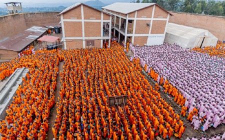 Over 1,000 convicts have been granted community service since April 2023