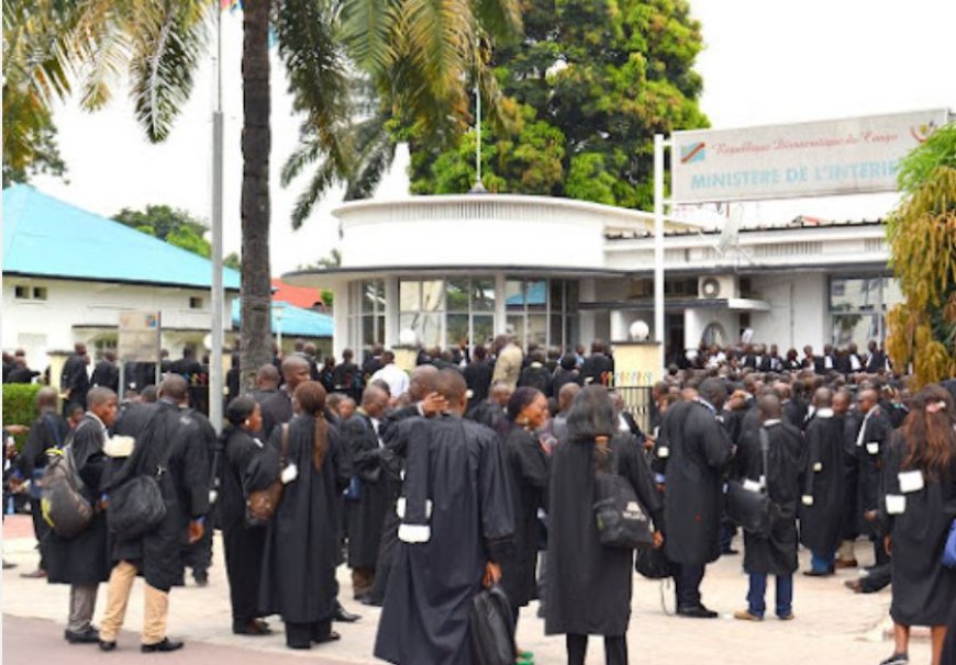 At least 280 lawyers brought to justice for fraud,forgery, and illegal exercise of the profession