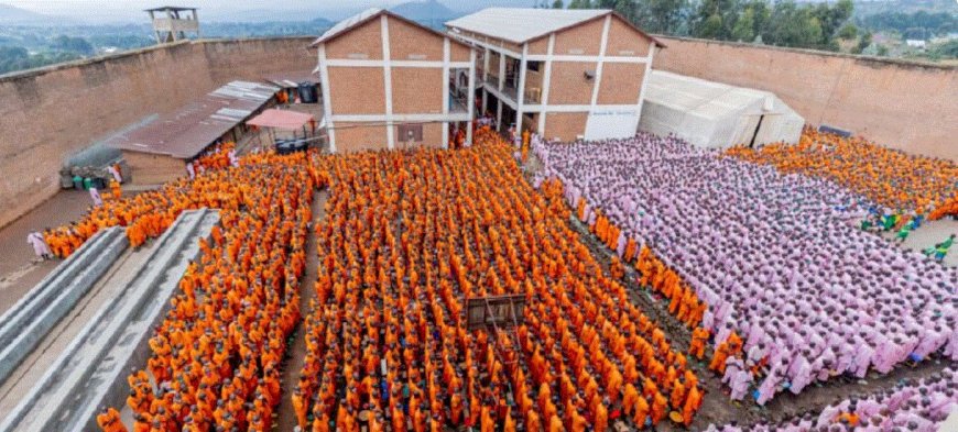 Over 1,000 convicts have been granted community service since April 2023