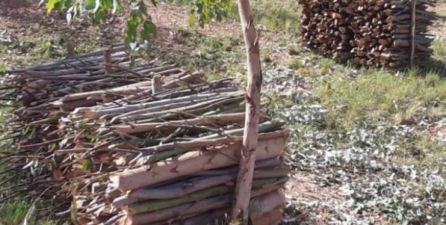 Guca ibiti bidakuze bisaba kuba ufite uburenganzira bwa Minisiteri y’Ibidukikije