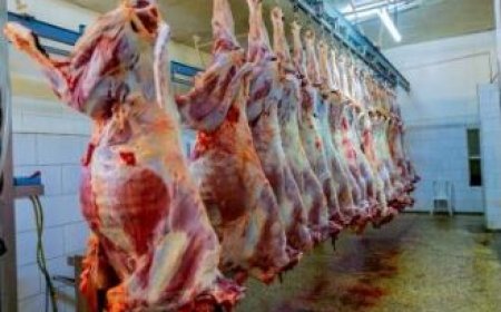 Inyama zo mu Rwanda zoherezwa ku isoko ryo mu mahanga ziyongereyeho 59%