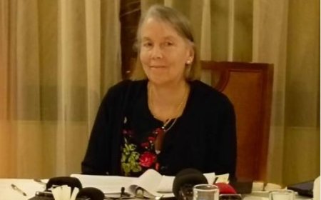 Attempted coup d’état: US ambassador promises to cooperate if US citizens are involved