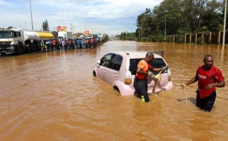 Disease outbreaks multiply in the Greater Horn of Africa after heavy rains
