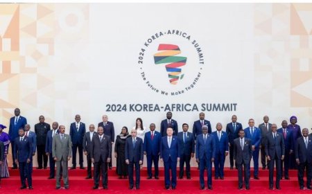 Why South Korea wants Africa's piece