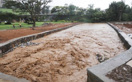 Kigali wetlands help city tackle floods and climate risks
