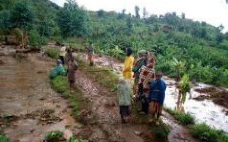 Imihindagurikire y'ikirere ibangamira umusaruro w'ubuhinzi