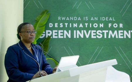 Former Minister of Environment and Karera under probe over forestry projects