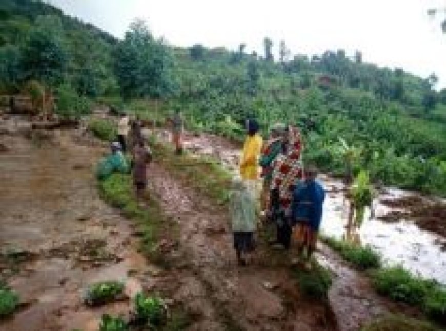 Imihindagurikire y'ikirere ibangamira umusaruro w'ubuhinzi