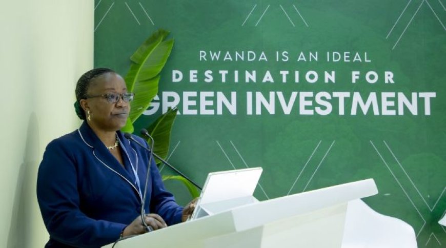 Former Minister of Environment and Karera under probe over forestry projects