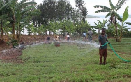 Climate Shocks and Agriculture: Farmers Struggle to Adapt