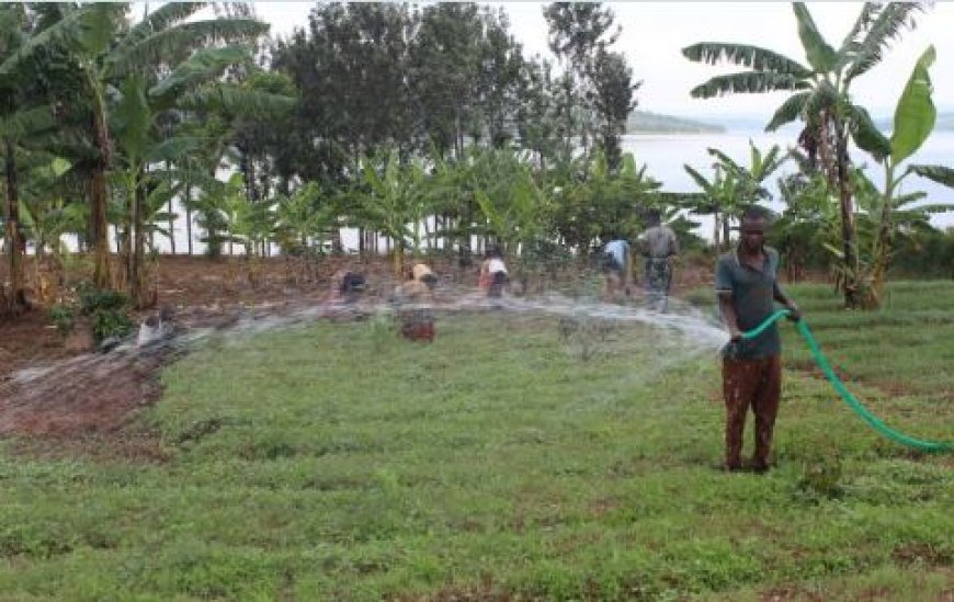 Climate Shocks and Agriculture: Farmers Struggle to Adapt