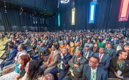 Rwanda Demands Stronger Global Commitments to Close Climate Finance Gap