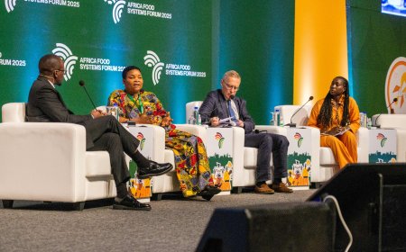 Africa is targeting $100 billions investment to transform food systems