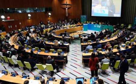 UN Climate Summit: Global Leaders’ Commitments Still Fall Short