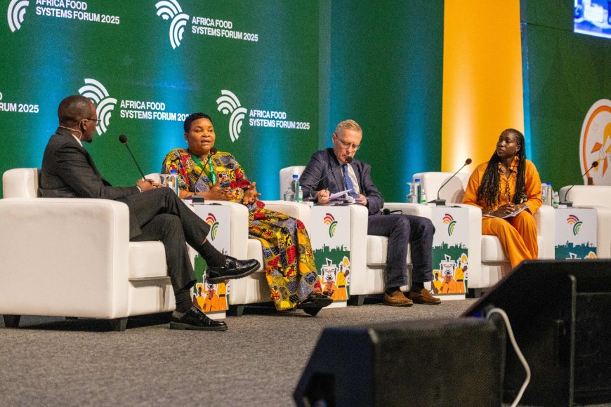 Africa is targeting $100 billions investment to transform food systems