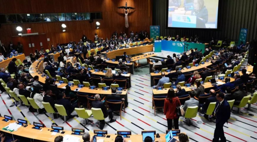 UN Climate Summit: Global Leaders’ Commitments Still Fall Short