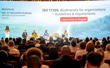 Rwanda Unveils New Biodiversity Strategy to Balance Development and Nature