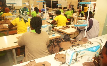 Promoting Gender Equality Boosts Business Performance