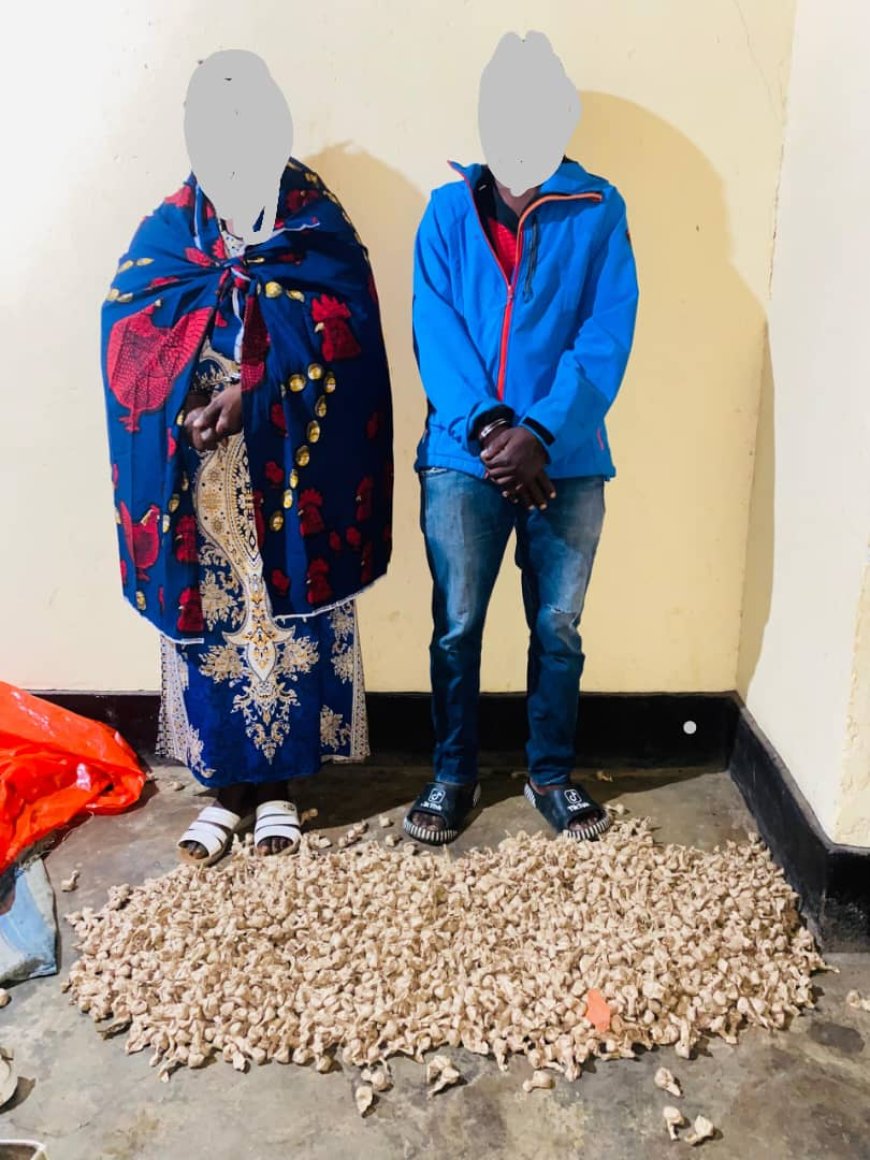 Umusore na nyina bafatanywe udupfunyika 2520 tw’urumogi