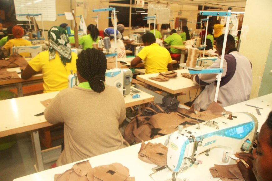 Promoting Gender Equality Boosts Business Performance