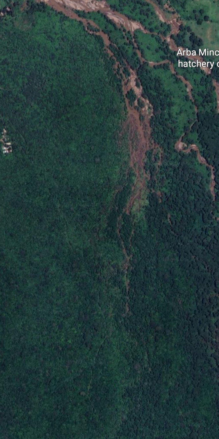 Urgent Call to Protect High-Risk Tropical Forests: Tripling Investment Needed to Save Key Ecosystems and Communities