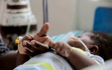 Pneumonia Still Kills 740,000 Children Annually, WHO Warns