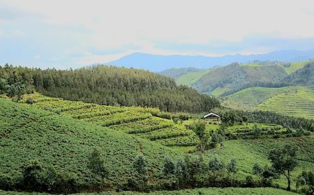 Rwanda’s $12B Climate Plan Aims for 53% Emission Cut by 2035