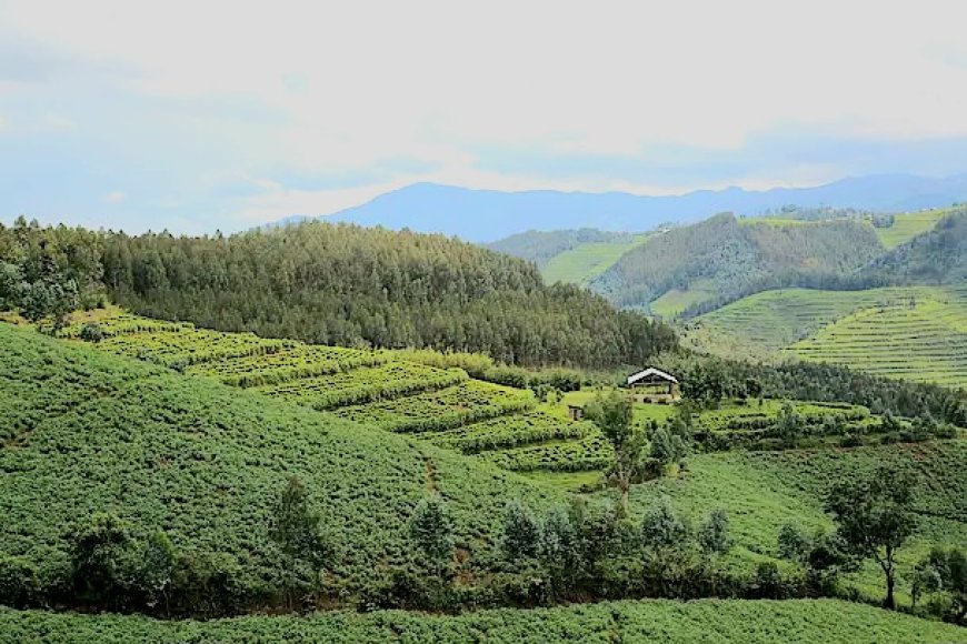 Rwanda’s $12B Climate Plan Aims for 53% Emission Cut by 2035