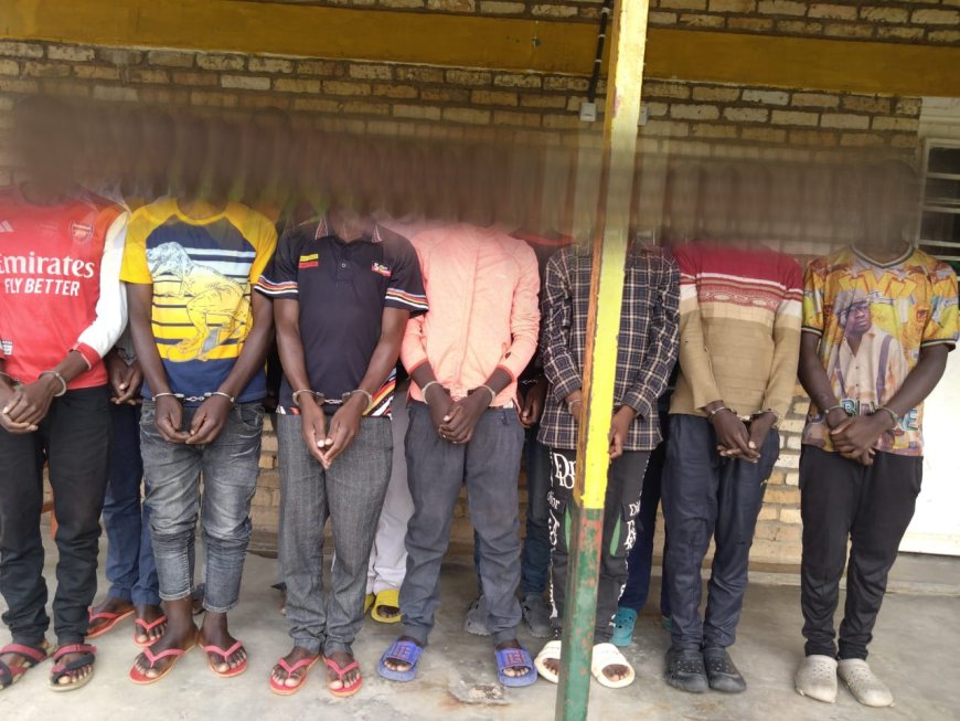 Hafashwe abantu 12 bakekwaho ubujura bw'amatungo